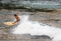 Playa de Honoli’i donde la mayoría de practicantes al surf son mujeres, incluso existe una escuela, la Big Island Girl Surf, que les da clases a las novicias. Big Island.